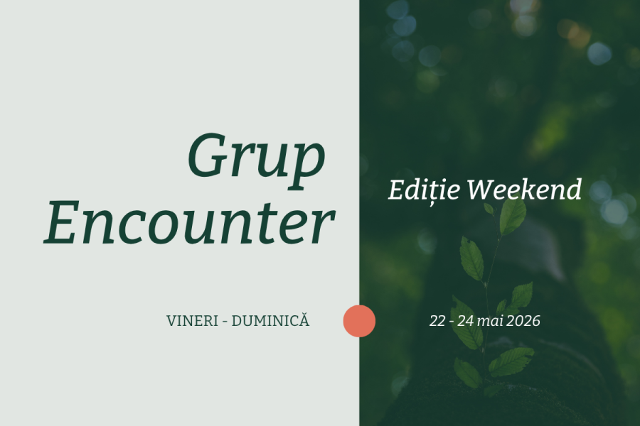 Grup Encounter, Psihoterapie centrata pe persoana, Grup de psihoterapie